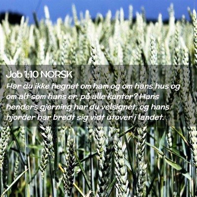 Picture 02 - Job 1:10 NORSK - Har du ikke hegnet om ham og om hans hus og om - Bible Verse Picture