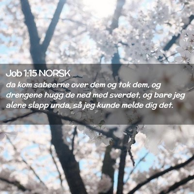 Picture 02 - Job 1:15 NORSK - da kom sabeerne over dem og tok dem, og drengene - Bible Verse Picture