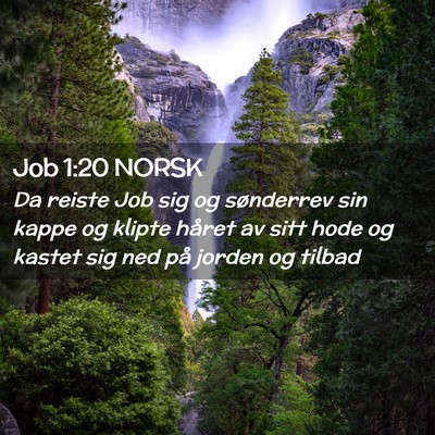 Picture 02 - Job 1:20 NORSK - Da reiste Job sig og sønderrev sin kappe og - Bible Verse Picture