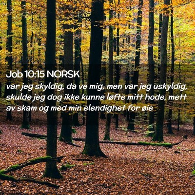 Picture 02 - Job 10:15 NORSK - var jeg skyldig, da ve mig, men var jeg uskyldig, - Bible Verse Picture