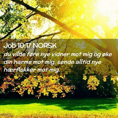 Picture 02 - Job 10:17 NORSK - du vilde føre nye vidner mot mig og øke din - Bible Verse Picture