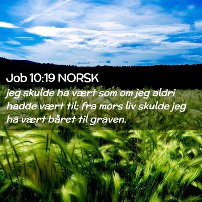 Picture 02 - Job 10:19 NORSK - jeg skulde ha vært som om jeg aldri hadde vært - Bible Verse Picture