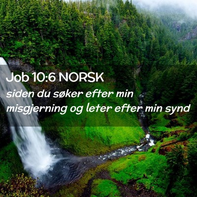 Picture 02 - Job 10:6 NORSK - siden du søker efter min misgjerning og leter - Bible Verse Picture