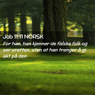 Picture 02 - Job 11:11 NORSK - For han, han kjenner de falske folk og ser - Bible Verse Picture
