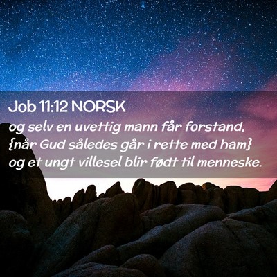 Picture 02 - Job 11:12 NORSK - og selv en uvettig mann får forstand, {når Gud - Bible Verse Picture