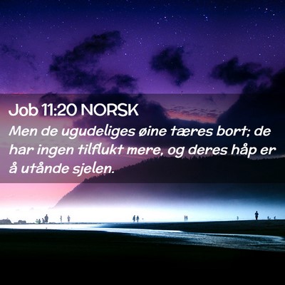 Picture 02 - Job 11:20 NORSK - Men de ugudeliges øine tæres bort; de har ingen - Bible Verse Picture