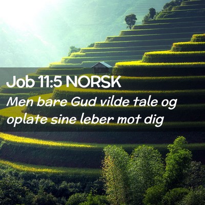 Picture 02 - Job 11:5 NORSK - Men bare Gud vilde tale og oplate sine leber mot - Bible Verse Picture