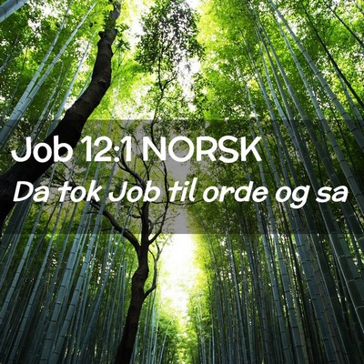 Picture 02 - Job 12:1 NORSK - Da tok Job til orde og - Bible Verse Picture
