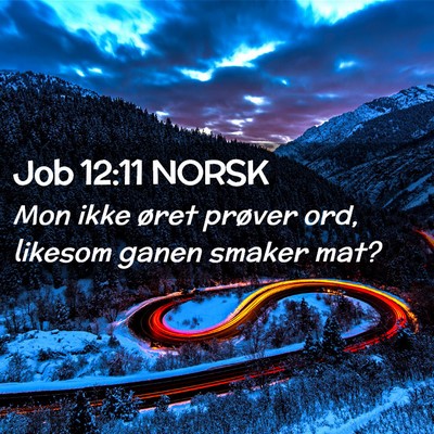 Picture 02 - Job 12:11 NORSK - Mon ikke øret prøver ord, likesom ganen smaker - Bible Verse Picture