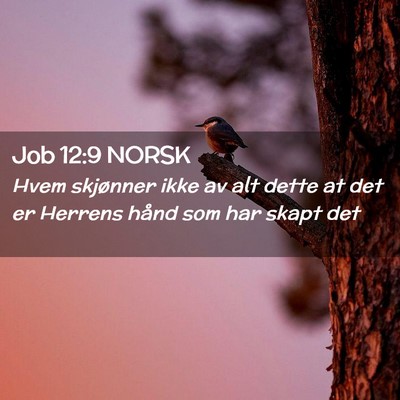 Picture 02 - Job 12:9 NORSK - Hvem skjønner ikke av alt dette at det er - Bible Verse Picture
