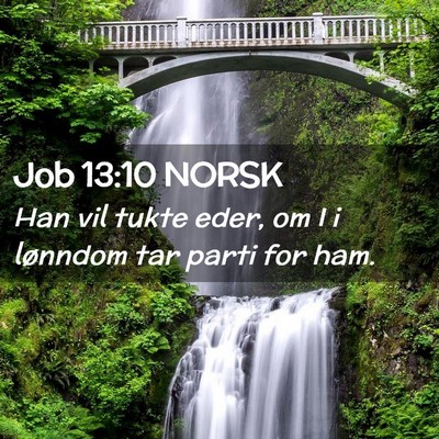 Picture 02 - Job 13:10 NORSK - Han vil tukte eder, om I i lønndom tar parti for - Bible Verse Picture