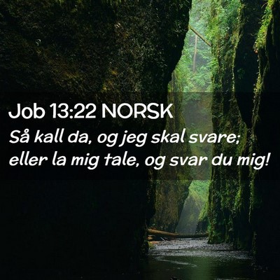 Picture 02 - Job 13:22 NORSK - Så kall da, og jeg skal svare; eller la mig - Bible Verse Picture
