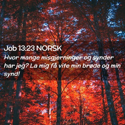 Picture 02 - Job 13:23 NORSK - Hvor mange misgjerninger og synder har jeg? La - Bible Verse Picture