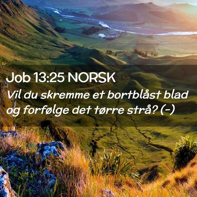 Picture 02 - Job 13:25 NORSK - Vil du skremme et bortblåst blad og forfølge - Bible Verse Picture