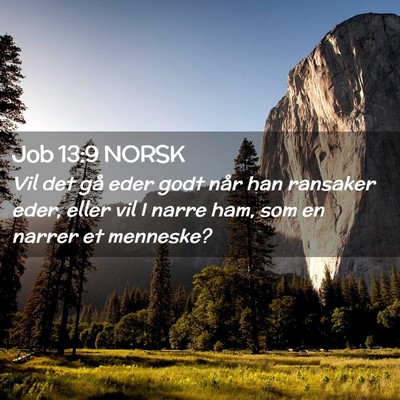 Picture 02 - Job 13:9 NORSK - Vil det gå eder godt når han ransaker eder, - Bible Verse Picture