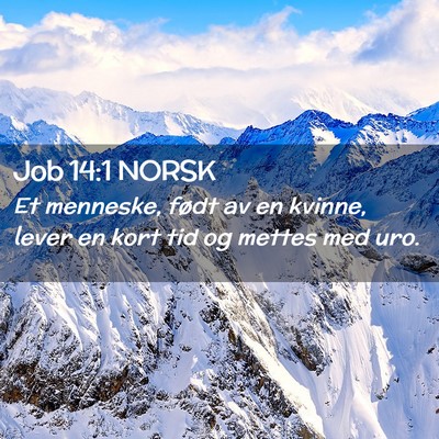 Picture 02 - Job 14:1 NORSK - Et menneske, født av en kvinne, lever en kort - Bible Verse Picture