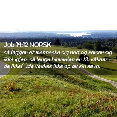Picture 02 - Job 14:12 NORSK - så legger et menneske sig ned og reiser sig ikke - Bible Verse Picture