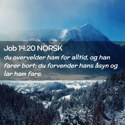 Picture 02 - Job 14:20 NORSK - du overvelder ham for alltid, og han farer bort; - Bible Verse Picture