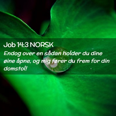Picture 02 - Job 14:3 NORSK - Endog over en sådan holder du dine øine åpne, - Bible Verse Picture