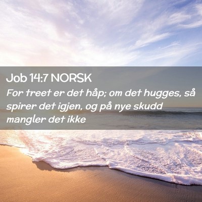 Picture 02 - Job 14:7 NORSK - For treet er det håp; om det hugges, så spirer - Bible Verse Picture