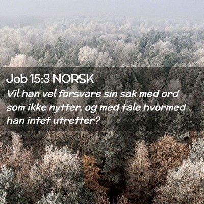 Picture 02 - Job 15:3 NORSK - Vil han vel forsvare sin sak med ord som ikke - Bible Verse Picture