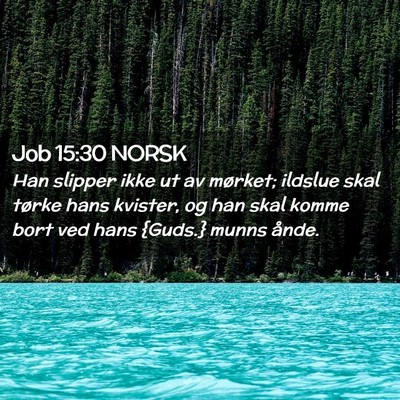 Picture 02 - Job 15:30 NORSK - Han slipper ikke ut av mørket; ildslue skal - Bible Verse Picture