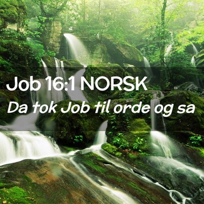 Picture 02 - Job 16:1 NORSK - Da tok Job til orde og - Bible Verse Picture