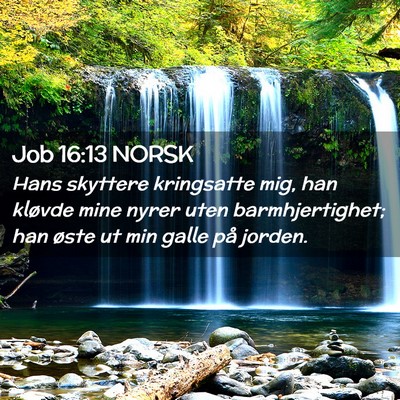 Picture 02 - Job 16:13 NORSK - Hans skyttere kringsatte mig, han kløvde mine - Bible Verse Picture