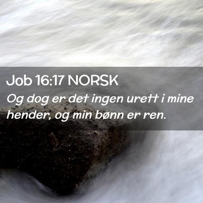 Picture 02 - Job 16:17 NORSK - Og dog er det ingen urett i mine hender, og min - Bible Verse Picture