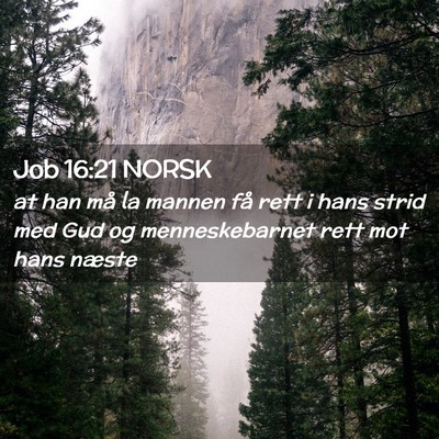 Picture 02 - Job 16:21 NORSK - at han må la mannen få rett i hans strid med - Bible Verse Picture