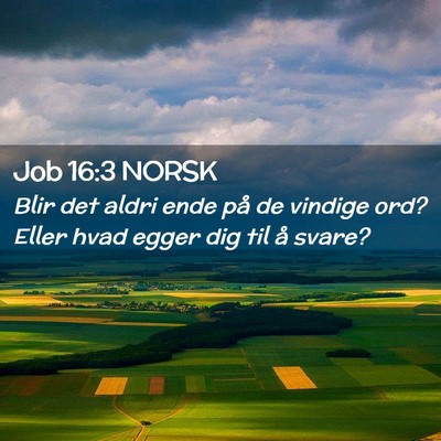Picture 02 - Job 16:3 NORSK - Blir det aldri ende på de vindige ord? Eller - Bible Verse Picture