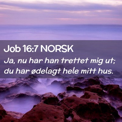 Picture 02 - Job 16:7 NORSK - Ja, nu har han trettet mig ut; du har ødelagt - Bible Verse Picture
