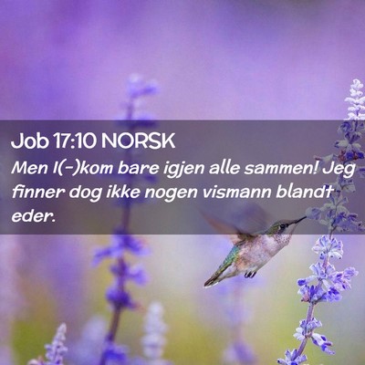 Picture 02 - Job 17:10 NORSK - Men I(-)kom bare igjen alle sammen! Jeg finner - Bible Verse Picture