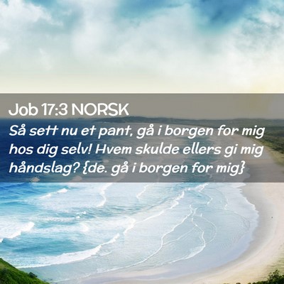 Picture 02 - Job 17:3 NORSK - Så sett nu et pant, gå i borgen for mig hos dig - Bible Verse Picture
