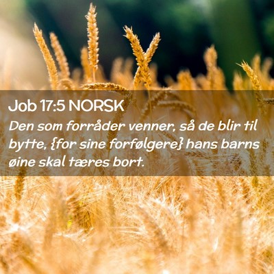 Picture 02 - Job 17:5 NORSK - Den som forråder venner, så de blir til bytte, - Bible Verse Picture