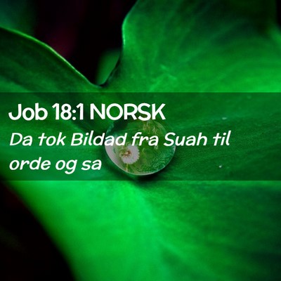 Picture 02 - Job 18:1 NORSK - Da tok Bildad fra Suah til orde og - Bible Verse Picture