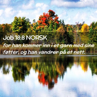 Picture 02 - Job 18:8 NORSK - for han kommer inn i et garn med sine føtter, og - Bible Verse Picture