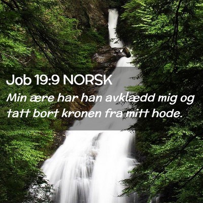 Picture 02 - Job 19:9 NORSK - Min ære har han avklædd mig og tatt bort kronen - Bible Verse Picture