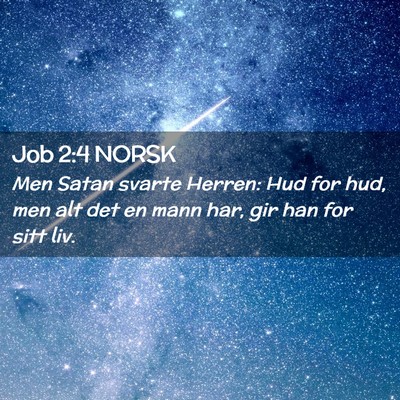 Picture 02 - Job 2:4 NORSK - Men Satan svarte Herren: Hud for hud, men alt det - Bible Verse Picture