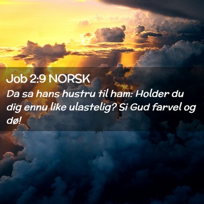 Picture 02 - Job 2:9 NORSK - Da sa hans hustru til ham: Holder du dig ennu - Bible Verse Picture