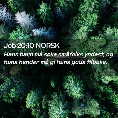 Picture 02 - Job 20:10 NORSK - Hans barn må søke småfolks yndest, og hans - Bible Verse Picture