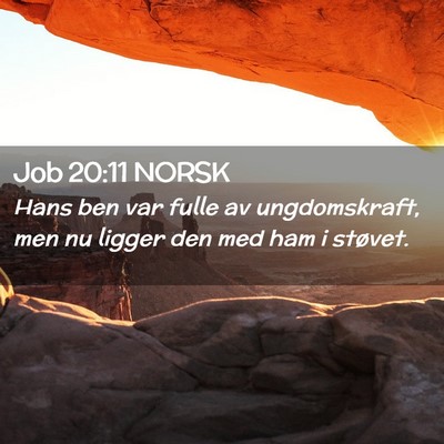 Picture 02 - Job 20:11 NORSK - Hans ben var fulle av ungdomskraft, men nu ligger - Bible Verse Picture