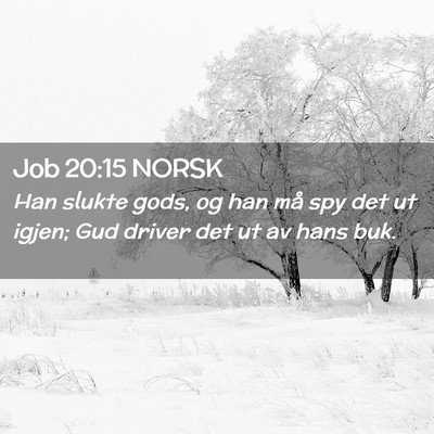 Picture 02 - Job 20:15 NORSK - Han slukte gods, og han må spy det ut igjen; Gud - Bible Verse Picture