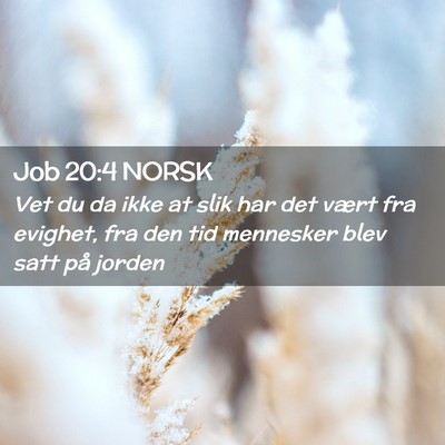 Picture 02 - Job 20:4 NORSK - Vet du da ikke at slik har det vært fra evighet, - Bible Verse Picture
