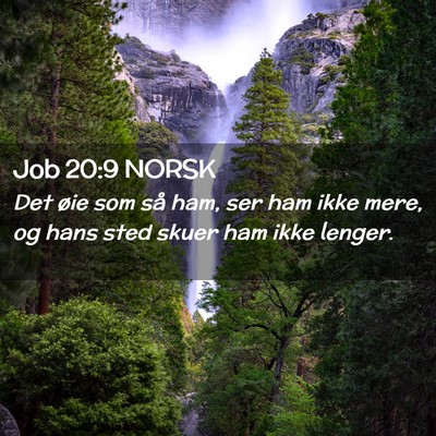 Picture 02 - Job 20:9 NORSK - Det øie som så ham, ser ham ikke mere, og hans - Bible Verse Picture