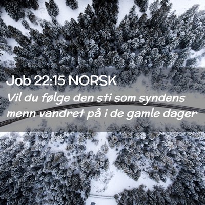 Picture 02 - Job 22:15 NORSK - Vil du følge den sti som syndens menn vandret - Bible Verse Picture