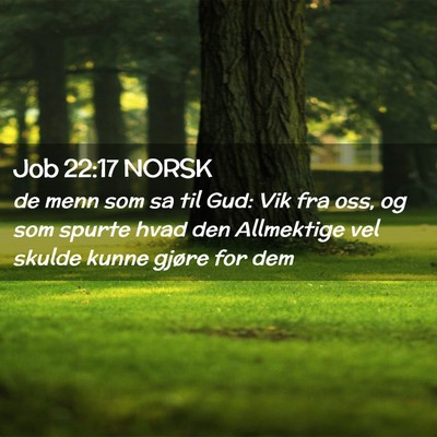 Picture 02 - Job 22:17 NORSK - de menn som sa til Gud: Vik fra oss, og som - Bible Verse Picture