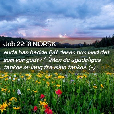 Picture 02 - Job 22:18 NORSK - enda han hadde fylt deres hus med det som var - Bible Verse Picture