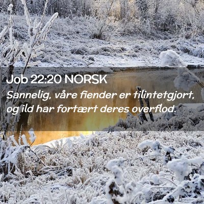 Picture 02 - Job 22:20 NORSK - Sannelig, våre fiender er tilintetgjort, og ild - Bible Verse Picture