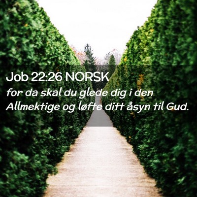 Picture 02 - Job 22:26 NORSK - for da skal du glede dig i den Allmektige og - Bible Verse Picture